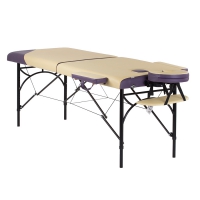 Складной массажный стол для дома US-MEDICA Master Складной массажный стол для дома US-MEDICA Master